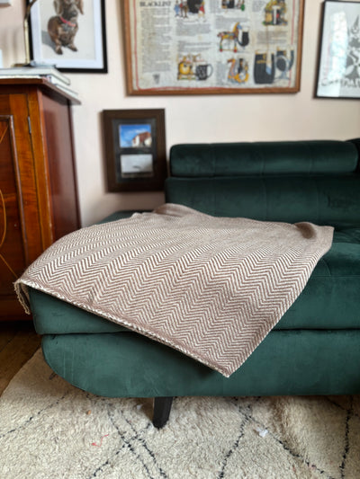 Mole Cashmere Blanket