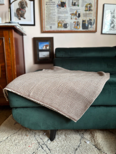 Mole Cashmere Blanket